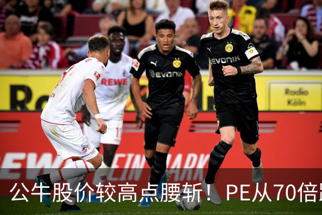 公牛股价较高点腰斩！PE从70倍跌到17倍，年赚40亿成现金牛