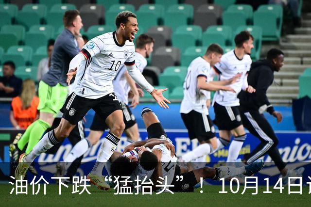 油价下跌“猛抬头”！10月14日调价后92,95号汽油价格，麦价“升温”，插翅上涨！