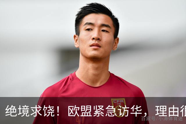 绝境求饶！欧盟紧急访华，理由很直接，阿斯麦再撑不住就要崩盘了