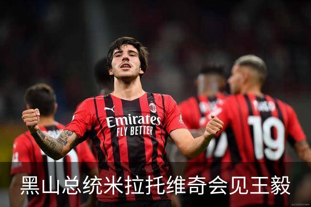 黑山总统米拉托维奇会见王毅