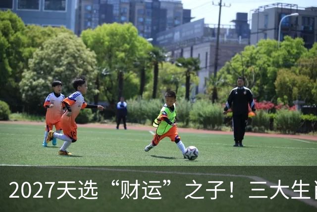 2027天选“财运”之子！三大生肖福气高照，一路旺运到年尾！